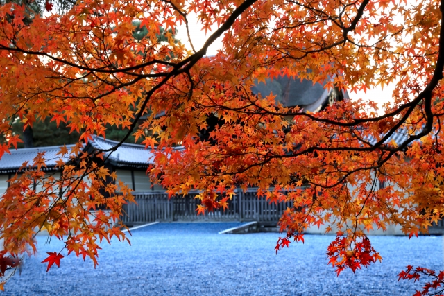 京都御苑の概要